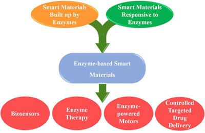 Editorial: Enzyme-Based Smart Materials